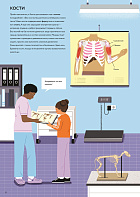 У ветеринара: как устроена медицина для животных