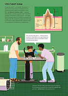 У ветеринара: как устроена медицина для животных