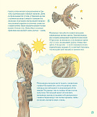 Гениальные глаза