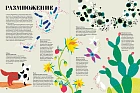 Чудесная книга жизни