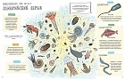 Камни и кости: Окаменелости и истории, которые они рассказывают